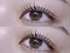 トップブロウ 天王寺(TOP BROW)の写真/**眉毛とまつげに品格を**パーマ専門店並みのデザインクオリティで理想のお目元の抜け感・透け感を…♪