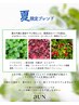 【数量限定】夏限定ハーブ＋500円　店頭にて変更OK！