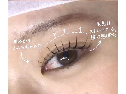 ウィンク(Wink)の写真