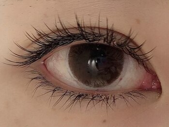 カラン 焼津店(CALIN)/フラットラッシュ100本