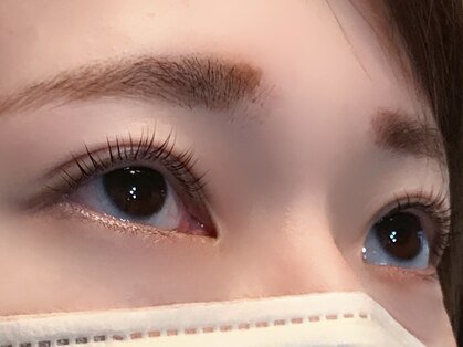 リリーの写真