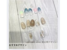 ヴァンネイル 海老名店(Van Nail)/ハンド定額デザイン