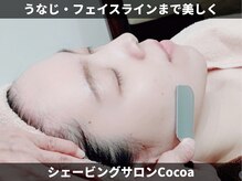ココア(Cocoa)