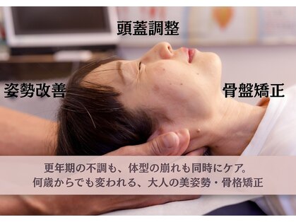 ヘンミの写真