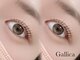 ガリカ 大名(Gallica)の写真
