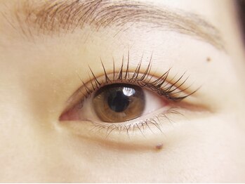 ビートルアイディー(Beetle ID)/