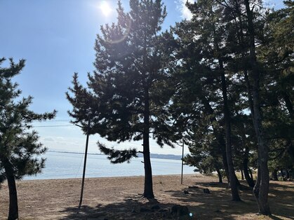 整体らくねふる 大津志賀の写真