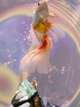 サミ 岸和田(SaMi)/幻想的な金魚の世界～＊