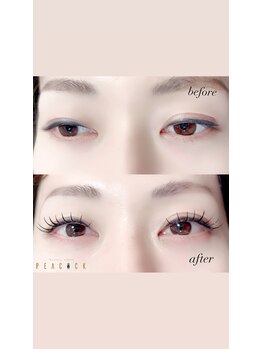 ピーコック(peacock)/flatlash120本