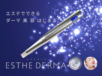 フェミニン(Feminine)/エステダーマ/エステ版ダーマ