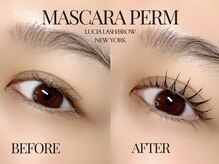 ルシアラッシュブロウ 新宿(LUCIA LASH BROW)/マスカラパーマ！