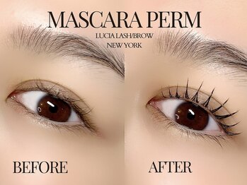 ルシアラッシュブロウ 新宿(LUCIA LASH BROW)/マスカラパーマ!