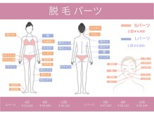 アイリー(iley)/ハイブリッド脱毛　パーツ表