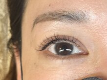 ライラック 二子玉川(Lilac)/ダブルフラット