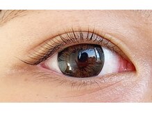 テイラー(Taylor)/ラッシュリフト　SATO