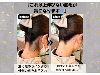 ヒダマリ 新屋敷店(Hidamari)