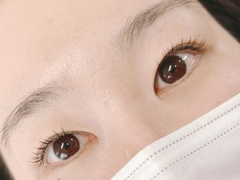 ベルード(veludo)/