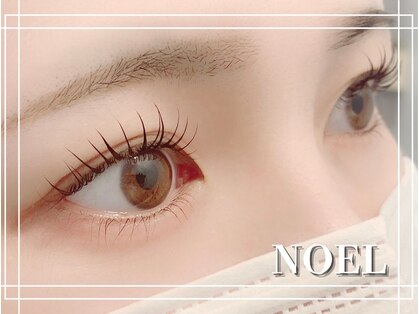 ノエルリタ(Noel rita)の写真