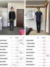 なごみ整体院/シセイカルテ