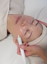 カンパニュラ(campanula)