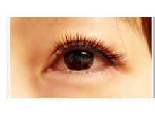 ル クール(le coeur)/perfect lash 240本
