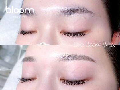 ブルーム(bloom)の写真