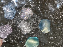 PG012587955