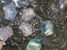 PG012587955