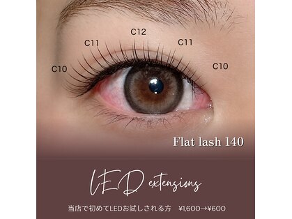 トット(totto.)の写真
