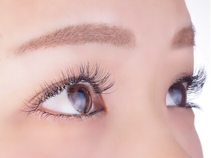 紬(tsumugi)の写真