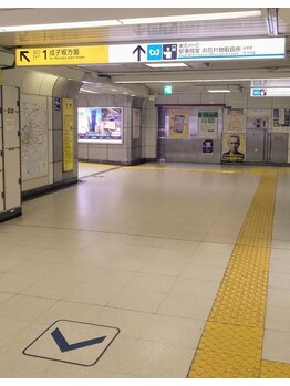 フランジパニ/西新宿駅から