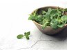 エアコン疲れに！芯から温まるのにスッキリ　『クール蒸し』