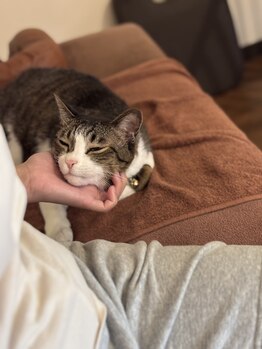 リラクゼーションスポットハンズ(Relaxation spot HanD's)/施術後