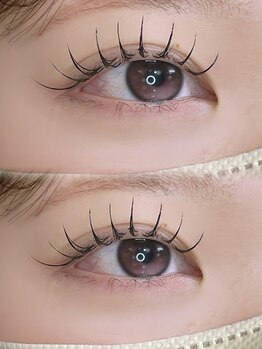 ミイプ(MEPP)/つちもと担当★フラットラッシュ