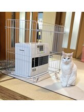 マシュマロハンド/よもぎ蒸し/冷え/むくみ改善