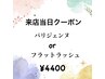 【5/.30来店限定】　パリジェンヌorフラットラッシュ100本　¥4950