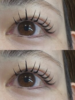 ピクシーボブ(Pixie Bob)の写真/【オフ&コーティング込】4回回数券(100本)¥11000→1回あたり¥2750で!!大満足な仕上がりなのに低価格☆