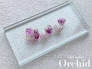 NailsalonOrchid Nailcollection