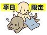 【平日割】　全身もみほぐし　ボディケア90分が通常より5％OFF♪