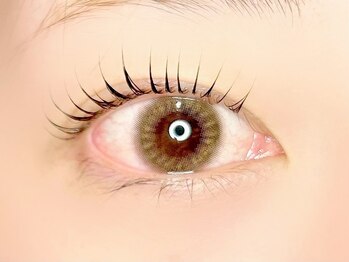 エイト アイラッシュ 上尾店(eight eyelash)/ラッシュリフト【上尾/上尾駅】