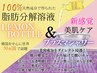 【人気殺到中！】レモンボトル脂肪分解溶液＆プラズマシャワー
