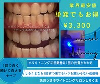 シロクマ(siroQMa)