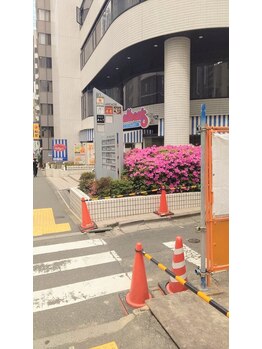 フランジパニ/地上に出たら～