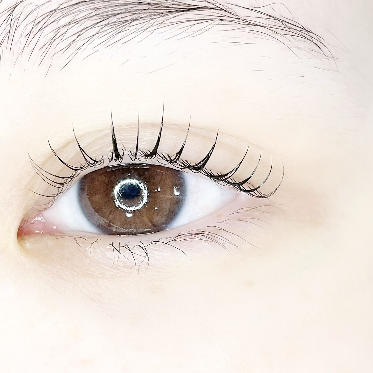 45日以内(上) まつげパーマ+保湿コーティング美容液仕上げ　\6,000⇒\5,500