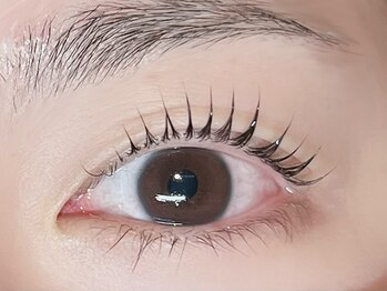 フォルチェ はません店(Folche)の写真/誰もが憧れるぱっちりキュートな愛され目元♪【パリジェンヌラッシュリフト/次世代まつげパーマ初回¥3850】