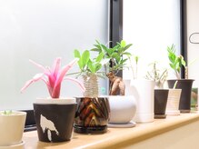 加納指圧治療院/