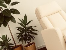 ルプーチュ プラス(LUPUCU PLUS)