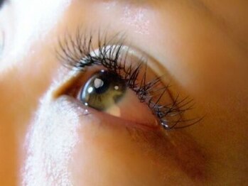 まつげ ネイルサロンアンドスクール ラヴァンヤ 久喜店(Lavanya)/90本￥3600 Yラッシュ2本