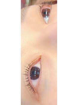 コア(Koa)/ラッシュリフトカール