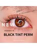 【マツパ】話題のBLACK TINT 《マスカラパーマ》すっぴんでも目元クッキリ★